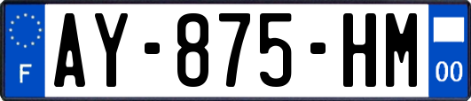AY-875-HM