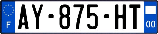 AY-875-HT