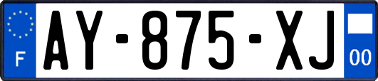 AY-875-XJ