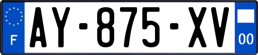 AY-875-XV