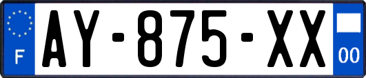 AY-875-XX