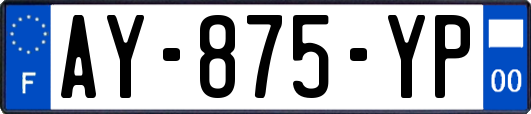 AY-875-YP