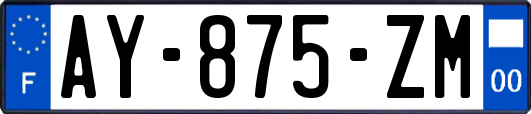 AY-875-ZM
