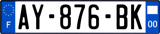 AY-876-BK