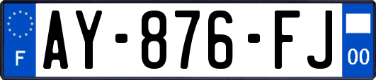AY-876-FJ