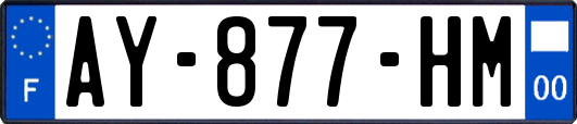 AY-877-HM