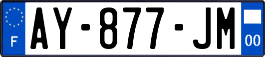 AY-877-JM