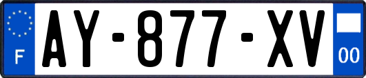 AY-877-XV