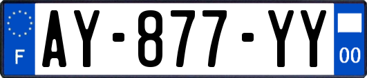 AY-877-YY