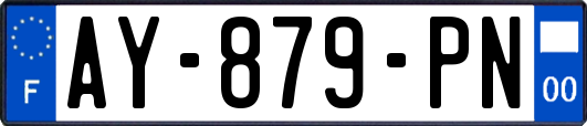 AY-879-PN