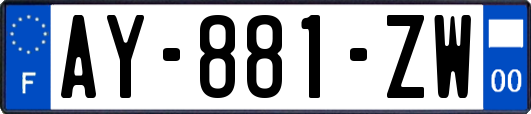 AY-881-ZW
