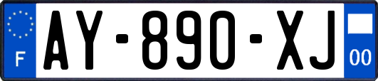 AY-890-XJ