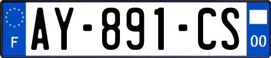 AY-891-CS