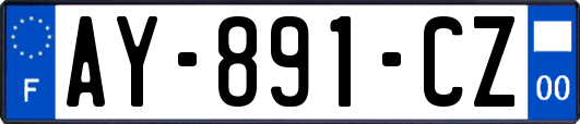 AY-891-CZ