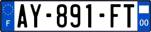 AY-891-FT