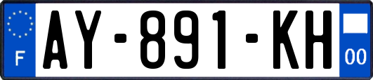 AY-891-KH