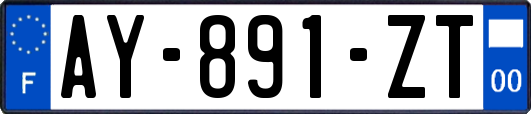 AY-891-ZT