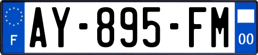 AY-895-FM