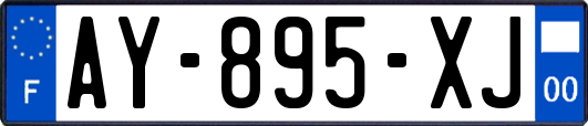 AY-895-XJ