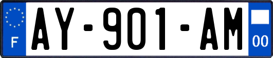 AY-901-AM