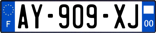 AY-909-XJ