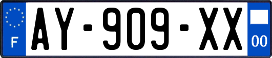 AY-909-XX