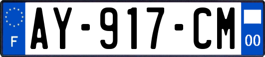 AY-917-CM