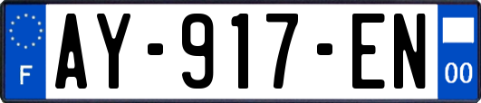 AY-917-EN