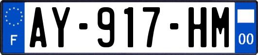 AY-917-HM