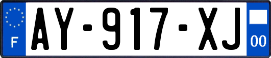 AY-917-XJ