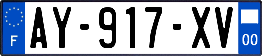 AY-917-XV