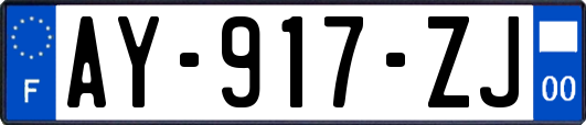 AY-917-ZJ