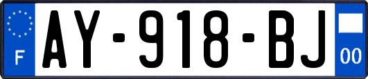 AY-918-BJ