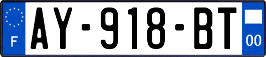AY-918-BT