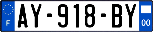 AY-918-BY