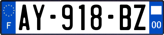 AY-918-BZ