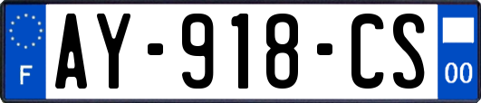 AY-918-CS
