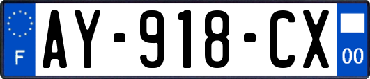 AY-918-CX