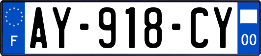 AY-918-CY