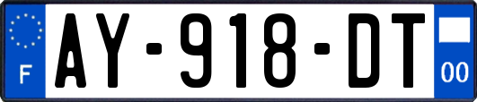 AY-918-DT