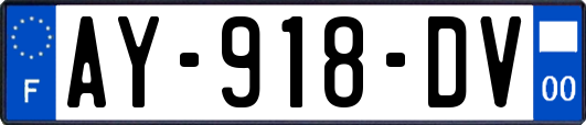 AY-918-DV