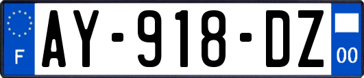AY-918-DZ