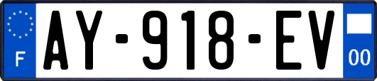 AY-918-EV