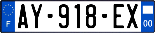 AY-918-EX