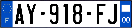 AY-918-FJ