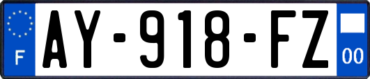 AY-918-FZ