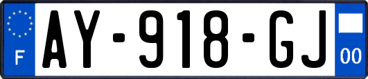 AY-918-GJ
