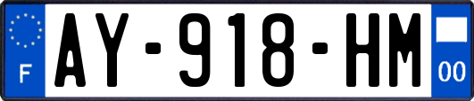 AY-918-HM