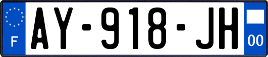 AY-918-JH