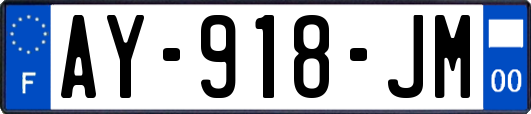AY-918-JM